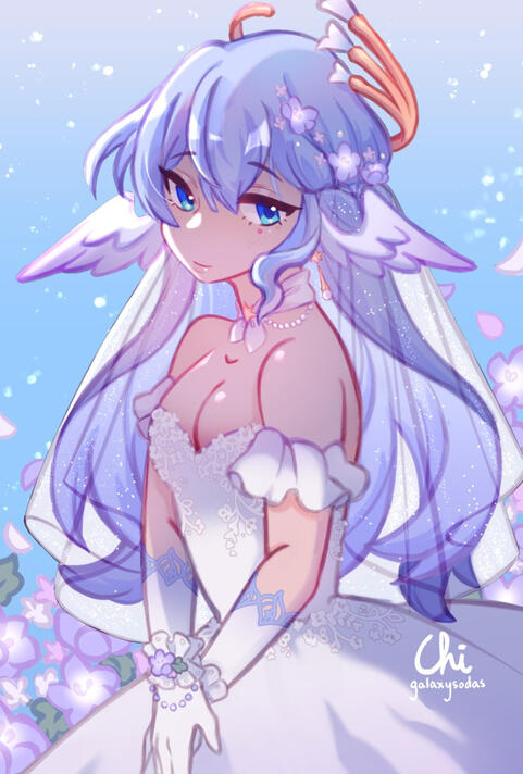 Robin Robin